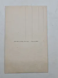 Originalt D.N.S.A.P. postkort med von Schalburg og søn