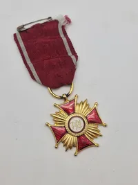 Polsk medalje