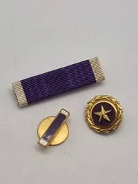 originalt WW2 purpel hardt lot bla. pin givet til efterladte
