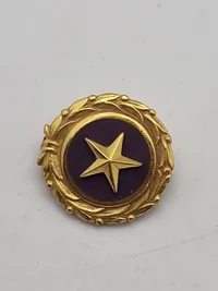 originalt WW2 purpel hardt lot bla. pin givet til efterladte