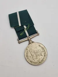 Pakistansk friheds medalje