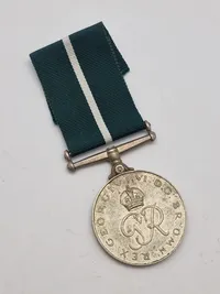 Pakistansk friheds medalje