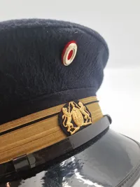 Original Dansk politikasket fra fr 1944