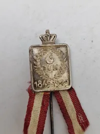 6 Juni 1849-1949 pin sølv
