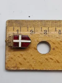 National pin