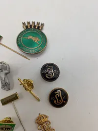 Nåle jagt,  våben og ammunition