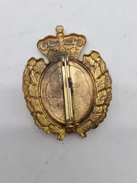 Lot Dansk og Svensk politi