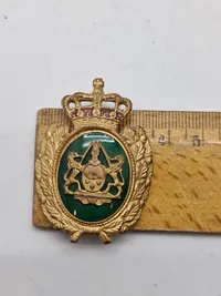 Lot Dansk og Svensk politi