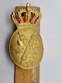 Lot Dansk og Svensk politi