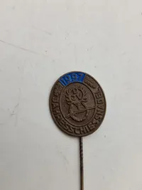 Nåle jagt,  våben og ammunition