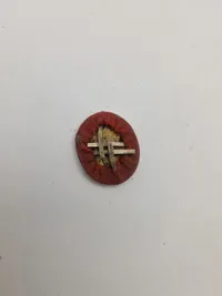 Samling militaria