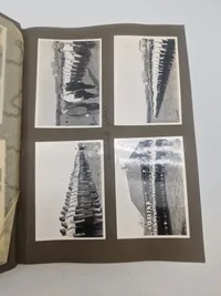 Originalt Album og Ahnenpass  og foto album fra Dansk SS frivillig Stammerjohan der faldt på Østfronten