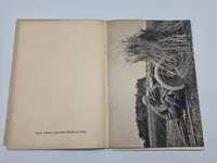 Original Dansk sjælden SS hverve folder