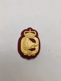 Lot Dansk militaria