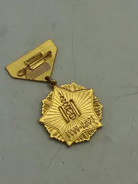 Original Mongolia 50 Years Peoples Revolution 1971 Medal