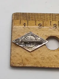 Original nål NS-Studentenbund Membership Badge
