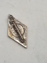 Original nål NS-Studentenbund Membership Badge