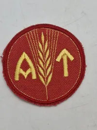 Originalt patch for den norske nazistiske arbejdstjeneste, ww2