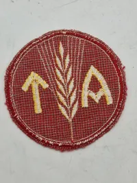 Originalt patch for den norske nazistiske arbejdstjeneste, ww2