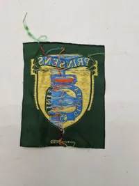 Prinsens livregiment