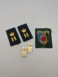 Prinsens livregiment