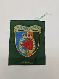 Prinsens livregiment