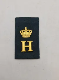 Prinsens livregiment
