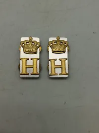 Prinsens livregiment