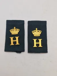 Prinsens livregiment
