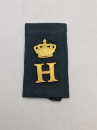 Prinsens livregiment