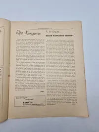Originalt P6 blad