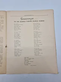Originalt P6 blad