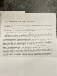 Original Amalienborg hjelm med fuld historie (Har tilhørt tidligere modstandsmand)