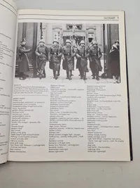 Guns of the Reich