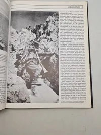 Guns of the Reich