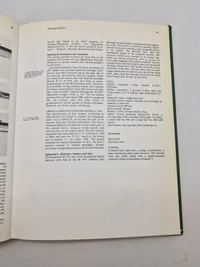 The German rifle