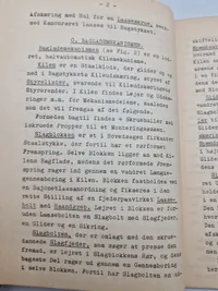 75 mm L./38 panservognskanon