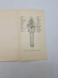 Sikkerhedsrør M. 1923