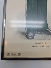 C.L. Seifert Skovvæsen