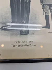 C.L Seifert skovvæsen