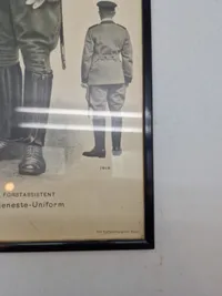 C.L Seifert skovvæsen