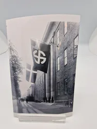 Foto fremkaldt fra de originale Glasnegativer D.N.S.A.P. fotografen Lundstrøm: Schalburg korpset