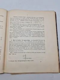Haandskyts 1895