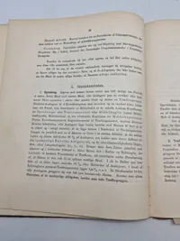 Haandskyts 1895