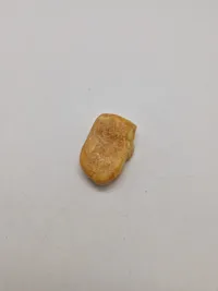 Klump rav (21,2 gram)