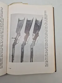 Savage & Stevens arms and story