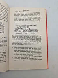 Shotgun and Cartridges