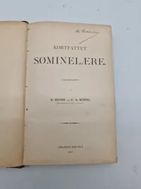Søminelære