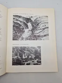Gamla svenska jaktvapen