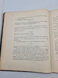 Haandskyts 1895